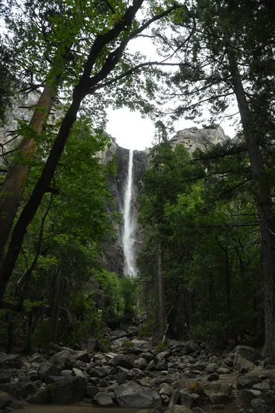 DSC_4603 (Large).JPG